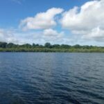 Menguak Resistensi Pulau Kecil di Balik Pengembangan PLTBio di Pulau Kei Kecil