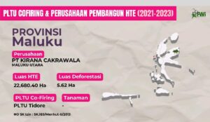 Hutan Tanaman Energi dan Ancaman Deforestasi di Kepulauan Maluku Utara