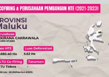 Hutan Tanaman Energi dan Ancaman Deforestasi di Kepulauan Maluku Utara